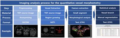 The effect of intensive statin therapy in non-symptomatic intracranial arteries: The STAMINA-MRI sub-study